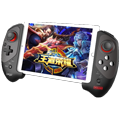 Mobile Gaming