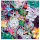Malen nach Zahlen - Blumen und Pflanzen