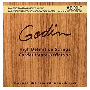 GODIN Strings Acoustic Guitar XLT