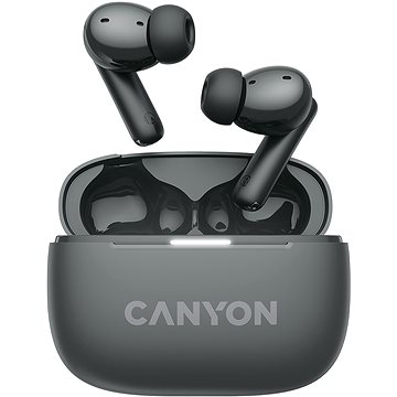 Canyon TWS-10 BT Grau