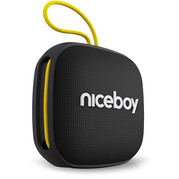 Niceboy RAZE Mini 4