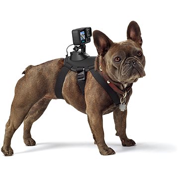 GoPro Hundegeschirr (Fetch)