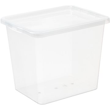 Plast Team Aufbewahrungsbox 31 l, 42,5 × 33 × 34,7 cm Basic Box, transparent