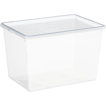 Plast Team Aufbewahrungsbox für Schuhe mit hohem Absatz 23,8 × 34 × 21,2 cm Basic Shoe Box