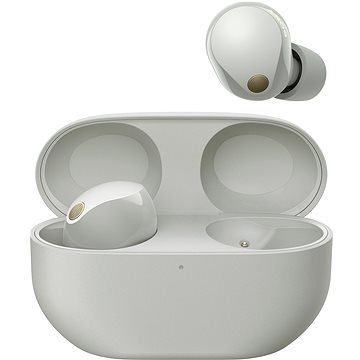 Sony Noise Cancelling WF-1000XM5, silber