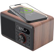 CARNEO W100, wood - Radio