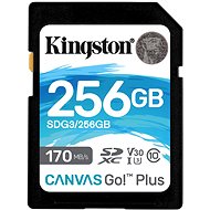 Kingston Canvas Go Plus SDXC 256 GB - Speicherkarte