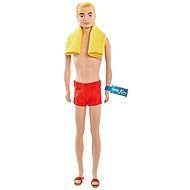 Barbie Sikstone Kollektion: Ken #1 - Puppe