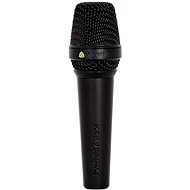 LEWITT MTP 250 DMs - Mikrofon