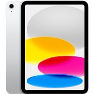iPad 10,9" 256 GB WiFi Cellular Silber 2022 - Tablet