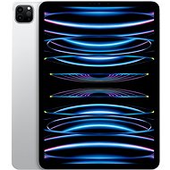 iPad Pro 11" 128 GB M2 Silber 2022 - Tablet