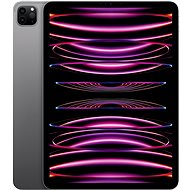 iPad Pro 11" 256 GB M2 Space Grau 2022 - Tablet